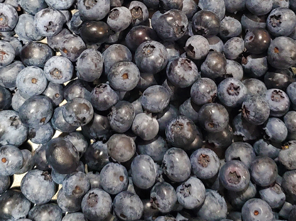Blueberries
